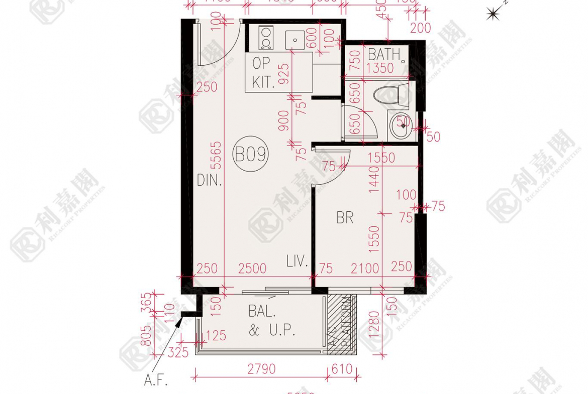 滙都 2期 滙都 II 6座 - 28NTS – 香港北部都會區