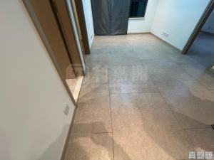 WETLAND SEASONS PARK 2期 3座 - 28NTS – 香港北部都會區