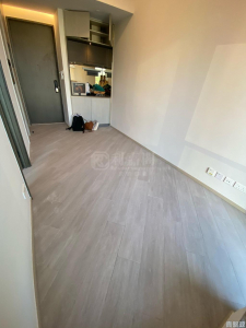 1759999246a54c3422-1303-4491-a56c-7903f0eb6148.jpeg 帝御 1期 帝御‧金灣 3座 - 28NTS – 香港北部都會區