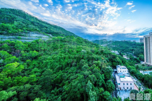 豪景花園 2期 明麗閣 (8座) - 28NTS – 香港北部都會區