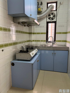 綠楊新邨 B座 - 28NTS – 香港北部都會區