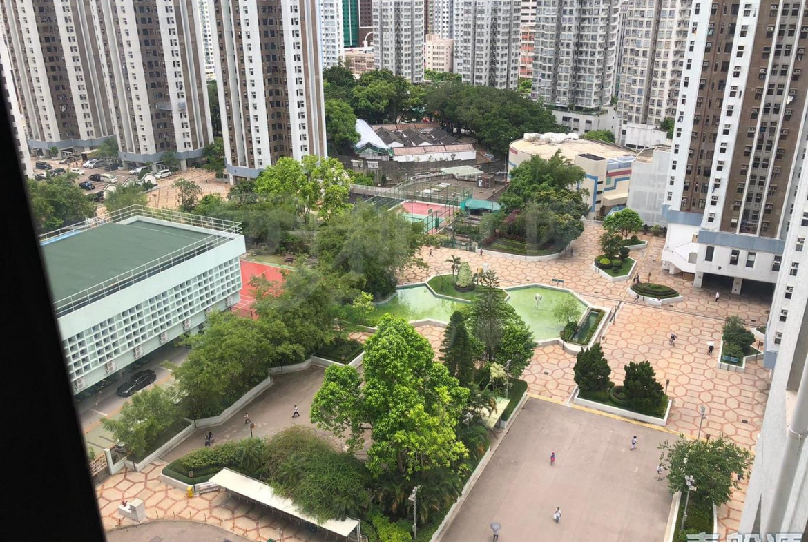 綠楊新邨 B座 - 28NTS – 香港北部都會區