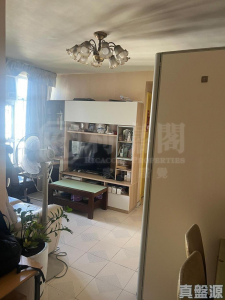 兆安苑 定安閣 (H座) - 28NTS – 香港北部都會區