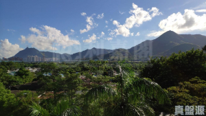 金閣豪園 9座 - 28NTS – 香港北部都會區