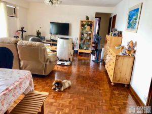 屯門閣 - 28NTS – 香港北部都會區