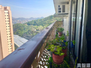 屯門閣 - 28NTS – 香港北部都會區