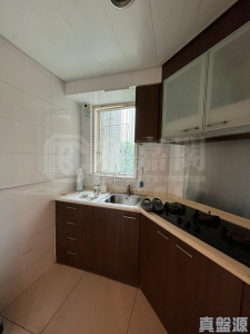 176002203438859c21-c92e-41fd-8498-e752dcc52702.jpeg 倚嶺南庭 - 28NTS – 香港北部都會區