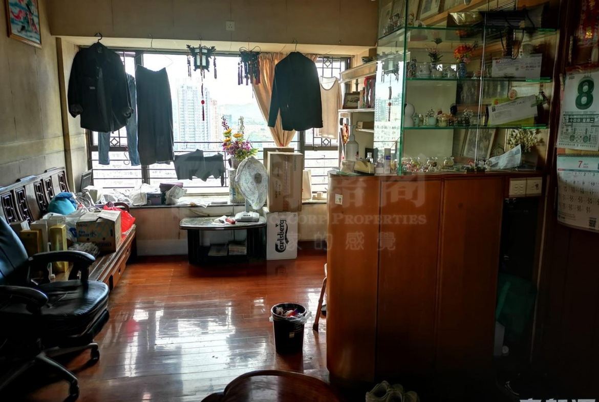 合益廣場 B座 - 28NTS – 香港北部都會區