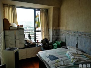 合益廣場 B座 - 28NTS – 香港北部都會區