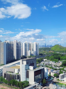 屏欣苑 B座 (屏彥閣) - 28NTS – 香港北部都會區