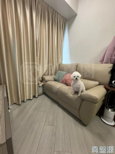 17603459127fade8a3-2ef0-469e-97c5-9446e0656ce3.jpeg 帝御 2期 帝御‧星濤 2座 - 28NTS – 香港北部都會區