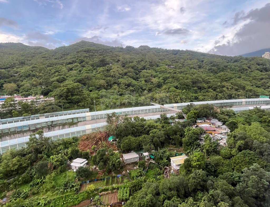 麗城花園 2期 9座 - 28NTS – 香港北部都會區