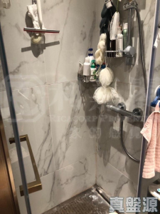 緹岸 1期 2A座 - 28NTS – 香港北部都會區