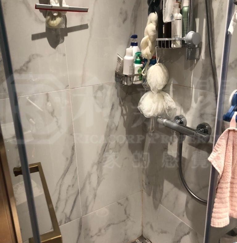 緹岸 1期 2A座 - 28NTS – 香港北部都會區