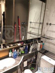 緹岸 1期 2A座 - 28NTS – 香港北部都會區