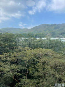 1760357883c436ec3f-f6d9-4da0-b0f5-e27bbe31b262.jpeg 翠濤閣 3座 - 28NTS – 香港北部都會區