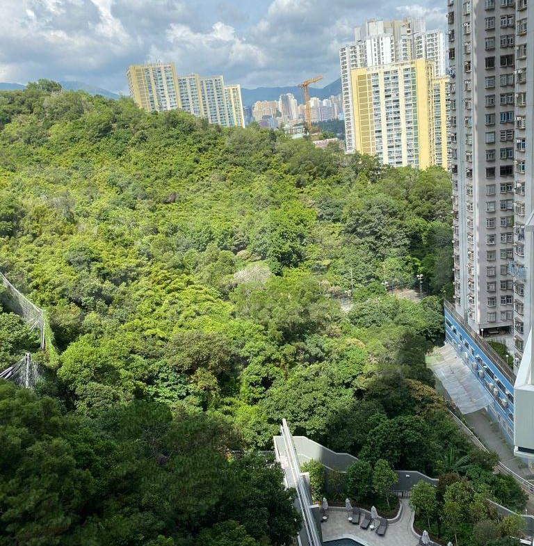 明翹匯 2座 - 28NTS – 香港北部都會區