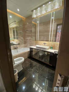 娉廷 - 28NTS – 香港北部都會區