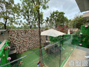 娉廷 - 28NTS – 香港北部都會區