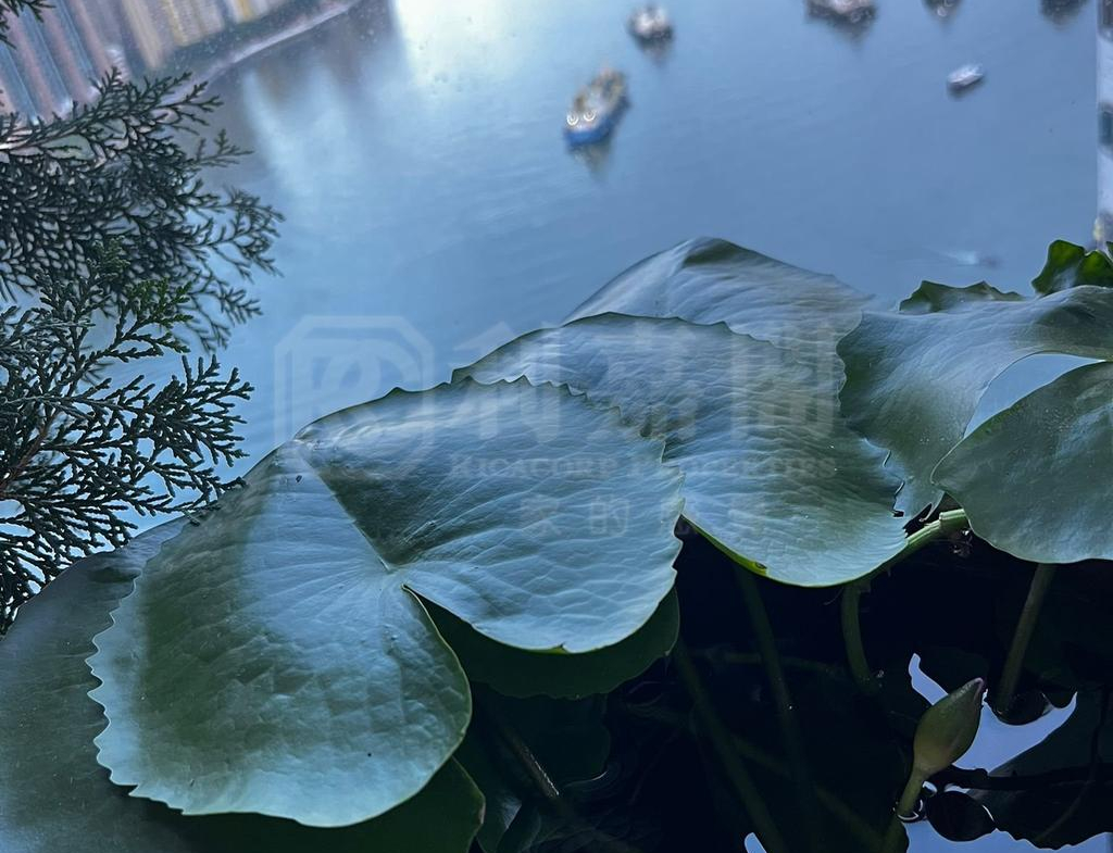 柏傲灣 2A座 - 28NTS – 香港北部都會區