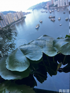 柏傲灣 2A座 - 28NTS – 香港北部都會區