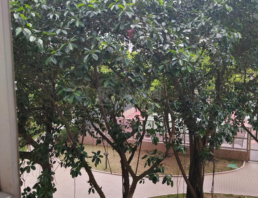 嘉湖山莊 6期 美湖居 3座 - 28NTS – 香港北部都會區