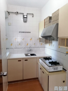 荃景花園 2期 11座 - 28NTS – 香港北部都會區