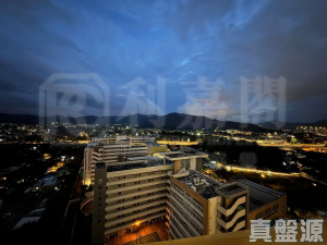 翹翠峰 2座 - 28NTS – 香港北部都會區