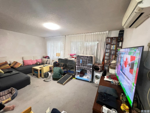 錦繡花園 荔枝南路 - 28NTS – 香港北部都會區