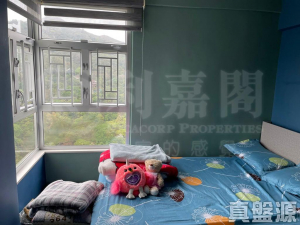 麗城花園 2期 8座 - 28NTS – 香港北部都會區