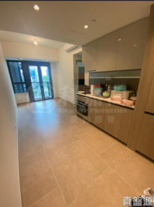 WETLAND SEASONS PARK 3期 8座 - 28NTS – 香港北部都會區