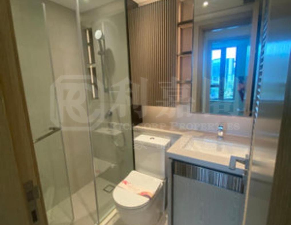 WETLAND SEASONS PARK 3期 8座 - 28NTS – 香港北部都會區