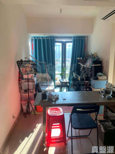 WETLAND SEASONS PARK 3期 8座 - 28NTS – 香港北部都會區