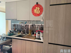 WETLAND SEASONS PARK 3期 8座 - 28NTS – 香港北部都會區