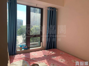 WETLAND SEASONS PARK 3期 8座 - 28NTS – 香港北部都會區