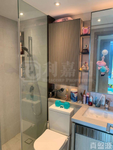 WETLAND SEASONS PARK 3期 8座 - 28NTS – 香港北部都會區