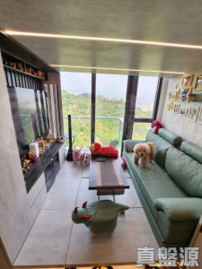 明翹匯 2座 - 28NTS – 香港北部都會區