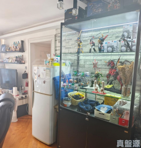 天頌苑 頌恩閣 (J座) - 28NTS – 香港北部都會區