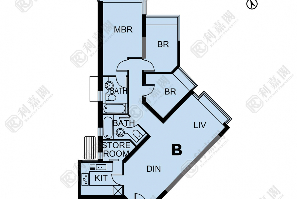 藍天海岸 1期 5座 - 28NTS – 香港北部都會區