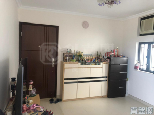 綠楊新邨 E座 - 28NTS – 香港北部都會區