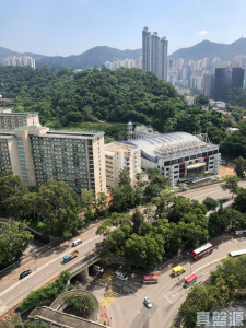 綠楊新邨 E座 - 28NTS – 香港北部都會區