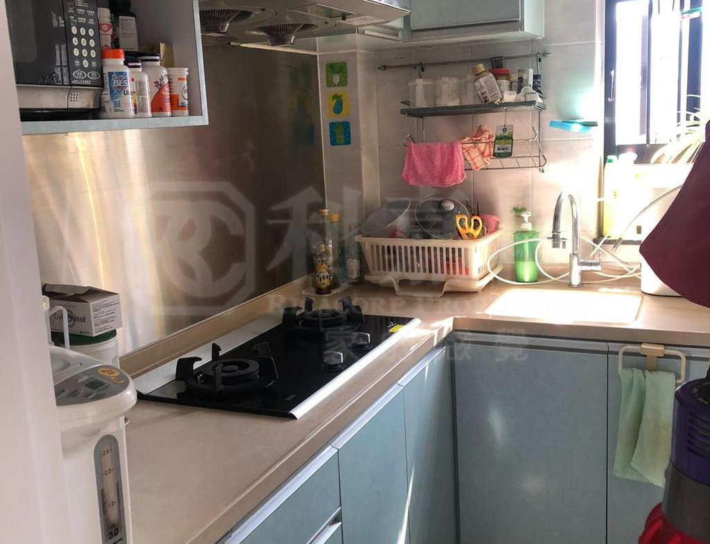 綠楊新邨 E座 - 28NTS – 香港北部都會區