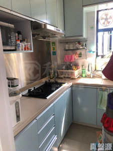 綠楊新邨 E座 - 28NTS – 香港北部都會區