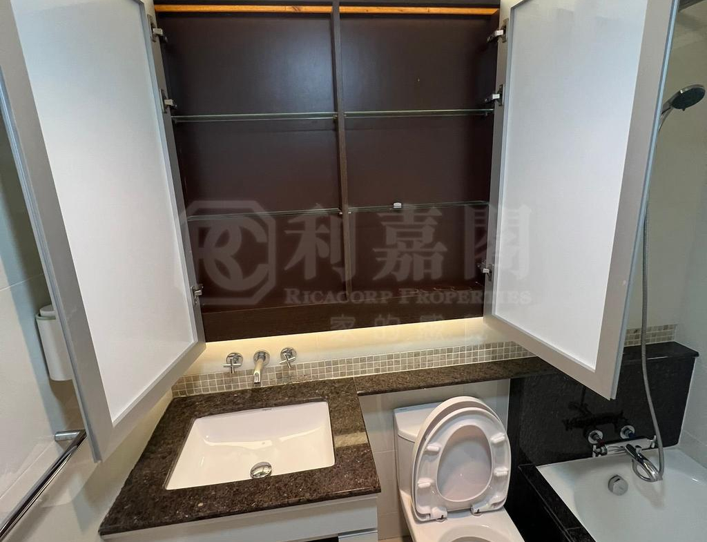 藍天海岸 4期 水藍‧天岸 5座 - 28NTS – 香港北部都會區