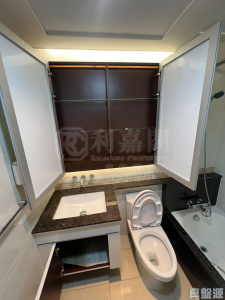 藍天海岸 4期 水藍‧天岸 5座 - 28NTS – 香港北部都會區