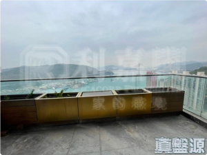 皇璧 - 28NTS – 香港北部都會區