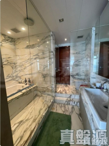 皇璧 - 28NTS – 香港北部都會區