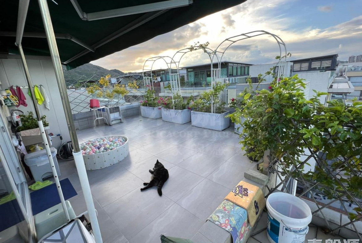 曉峰 - 28NTS – 香港北部都會區