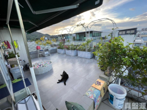 曉峰 - 28NTS – 香港北部都會區