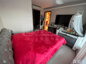 曉峰 - 28NTS – 香港北部都會區